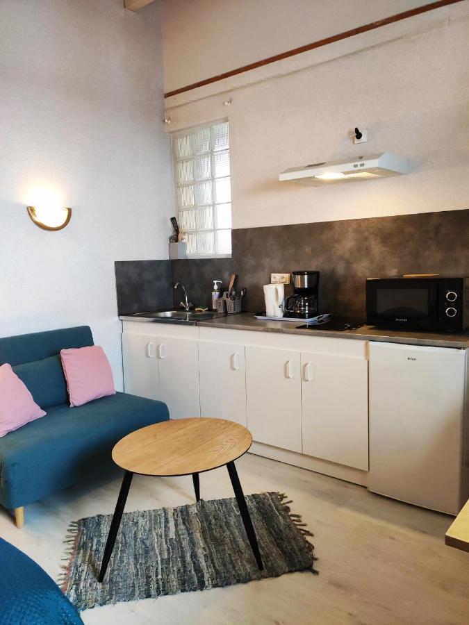 Studio Avec Terrasse Vue Tourmalet Dans Villa Historique "Victoria" Argelès-Gazost Kültér fotó